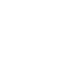 ib icon